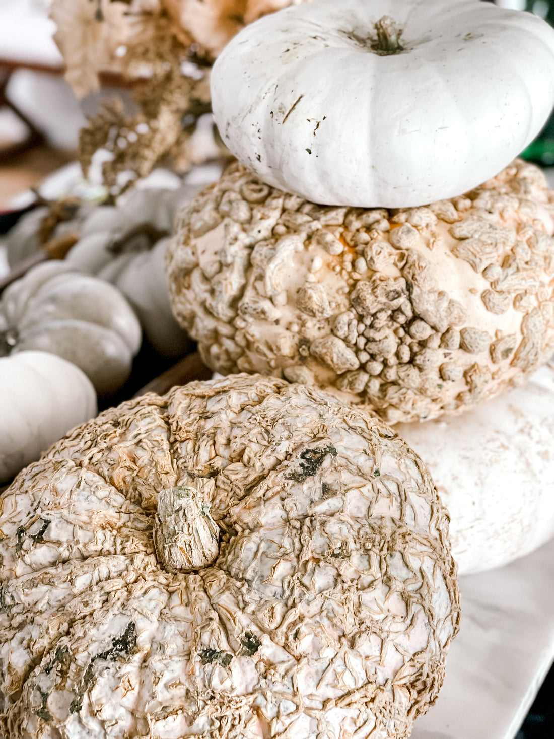 Heirloom Peanut Pumpkins